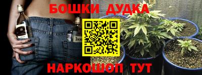 шишки Жуковский