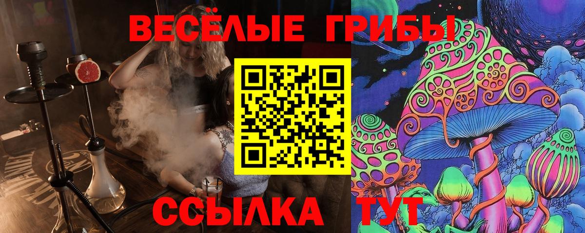 Назрань  Галлюциногенные грибы Cubensis  наркотики  Вход с VPN 