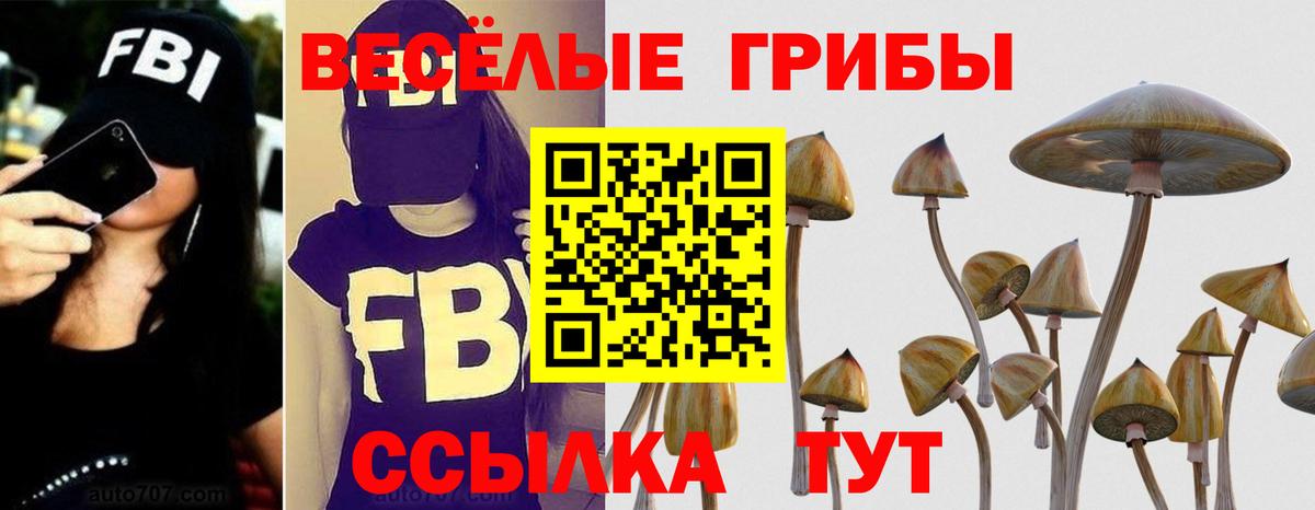 Галлюциногенные грибы GOLDEN TEACHER Назрань